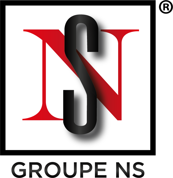 Logo Groupe NS