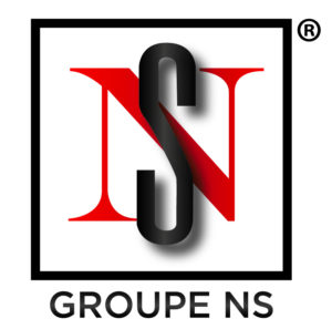 Logo Groupe NS